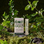 Pacote Noturno de Colágeno 60ml (4ml x 15 unidades)